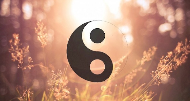 Yin-Yang – Artigo sobre a perspetiva Macrobiótica e a perspetiva Chinesa [PT]